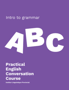 Niveau introduction to grammar